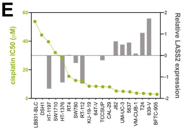 Graph showing the LASS2 expression levels and IC50 values of the indicated bladder cancer cell lines from the GDSC database.jpg